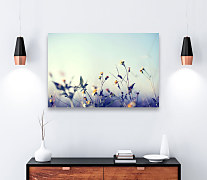 Obraz do spálne s kvetmi zs1352